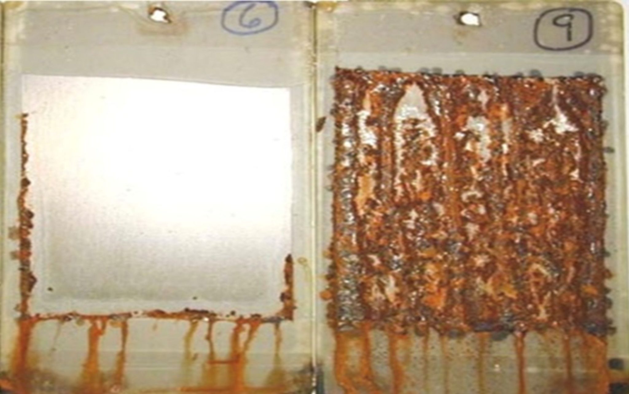 JAXのH1グリース「ハローガードFG」ってどんな製品？ JAX JAPAN